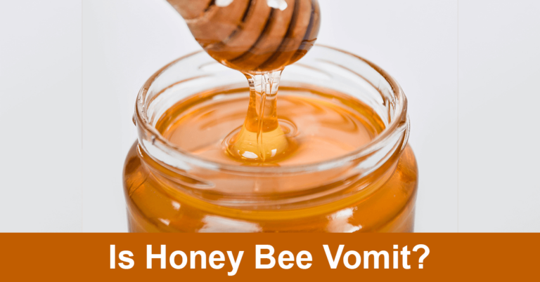 Is Honey Bee Vomit?